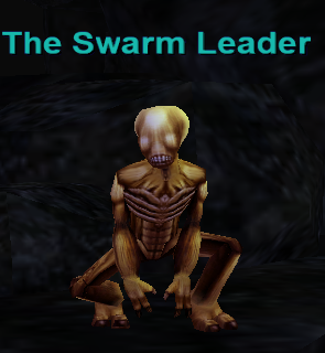 The Swarm Leader